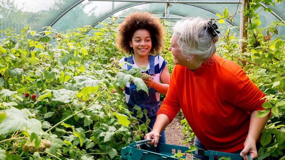  A woman and young girl gardening in a greenhouse