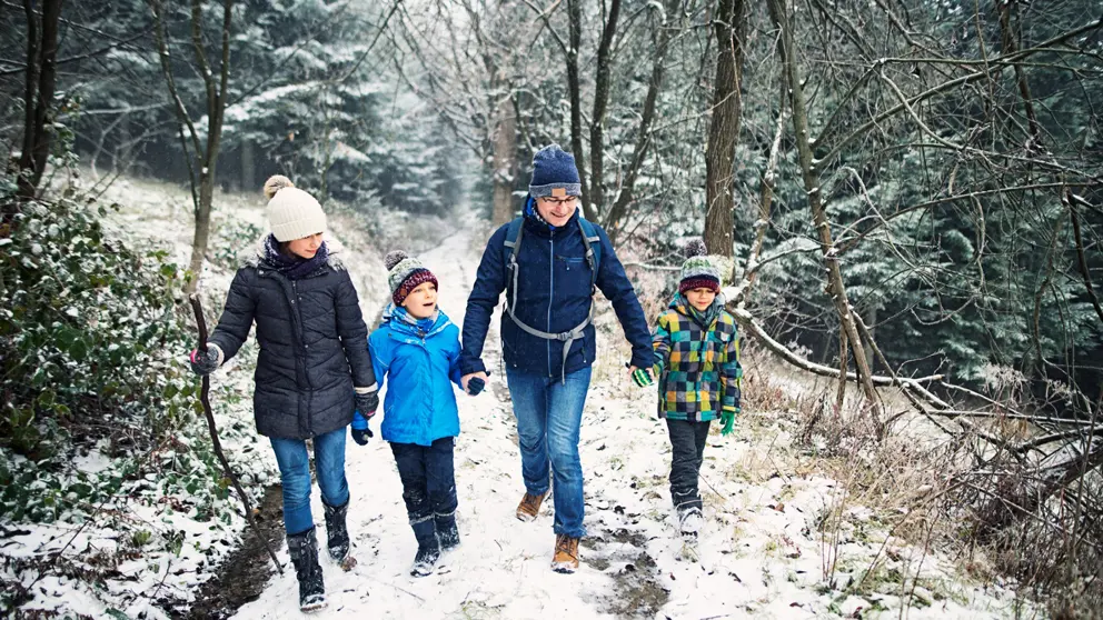 Father with children hiking in a forest