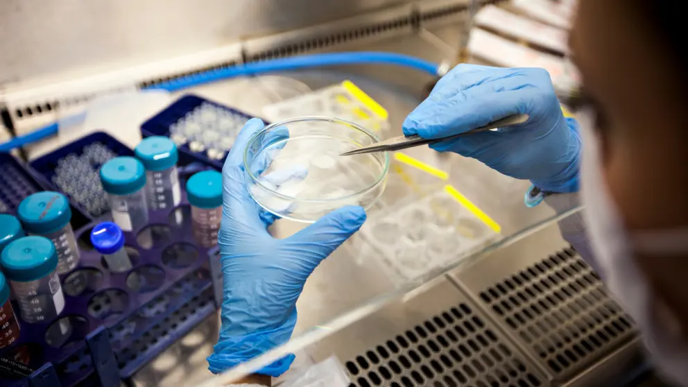 Researcher in lab holding petri dish