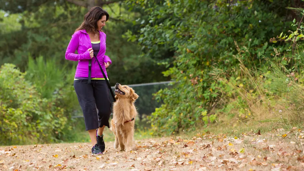 Woman walking her golden retreiver in park