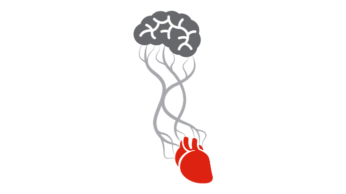 Vascular Cognitive Impairment | Heart And Stroke Foundation